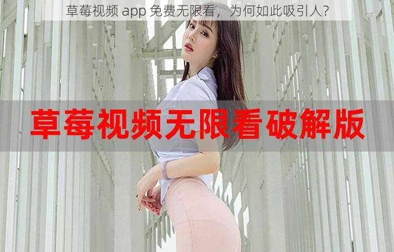 草莓视频 app 免费无限看，为何如此吸引人？