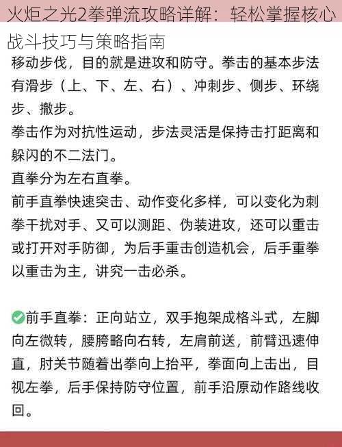 火炬之光2拳弹流攻略详解：轻松掌握核心战斗技巧与策略指南