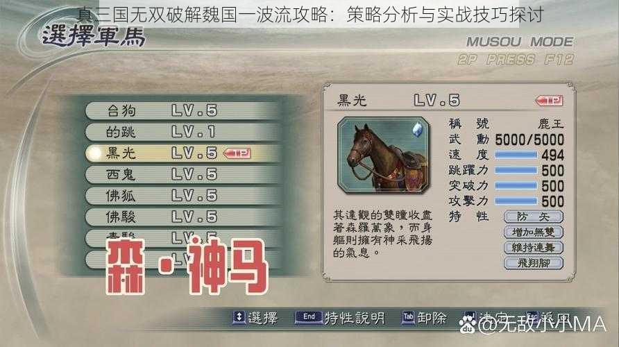 真三国无双破解魏国一波流攻略：策略分析与实战技巧探讨