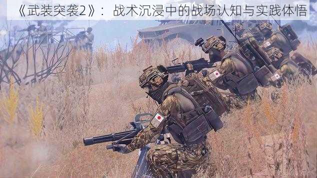 《武装突袭2》：战术沉浸中的战场认知与实践体悟