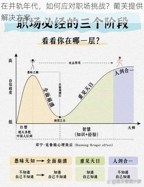 在并轨年代，如何应对职场挑战？葡芙提供解决方案