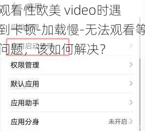 观看性欧美 video时遇到卡顿-加载慢-无法观看等问题，该如何解决？