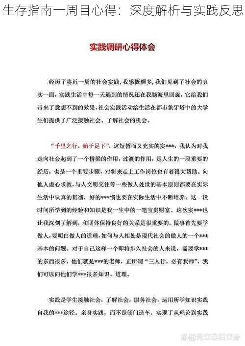 生存指南一周目心得：深度解析与实践反思