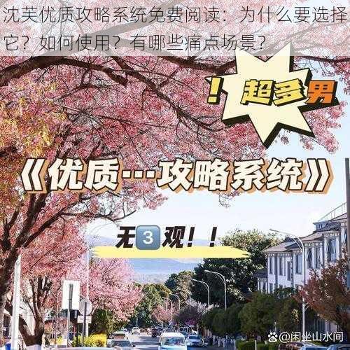 沈芙优质攻略系统免费阅读：为什么要选择它？如何使用？有哪些痛点场景？