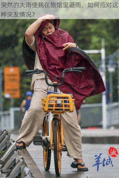 突然的大雨使我在旅馆里避雨，如何应对这种突发情况？