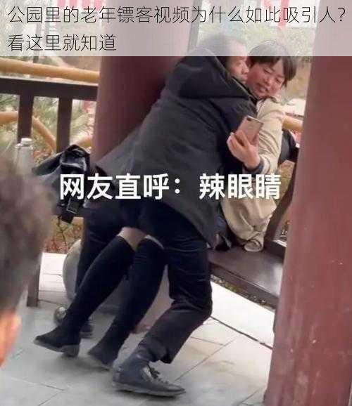 公园里的老年镖客视频为什么如此吸引人？看这里就知道