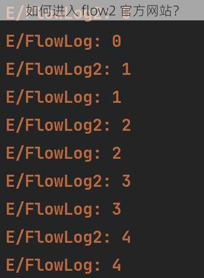 如何进入 flow2 官方网站？