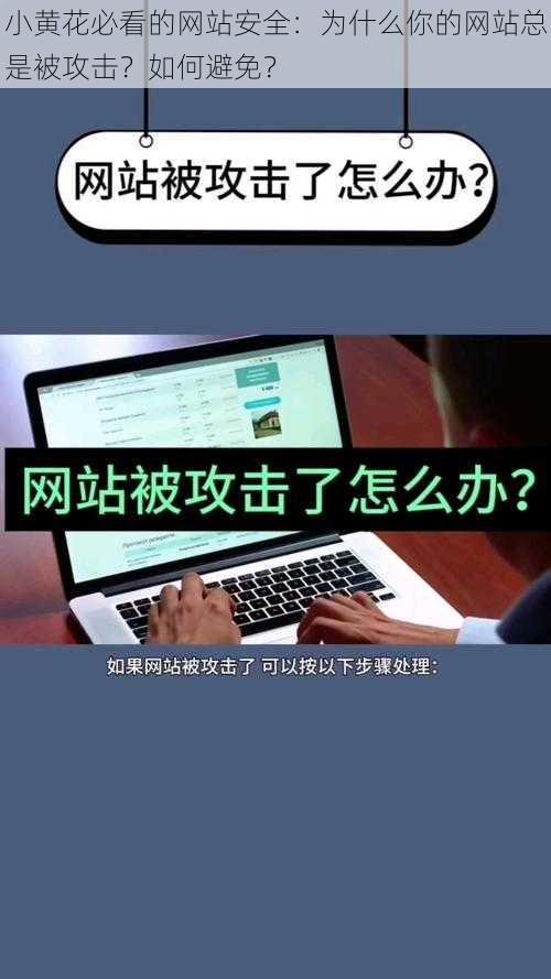 小黄花必看的网站安全：为什么你的网站总是被攻击？如何避免？