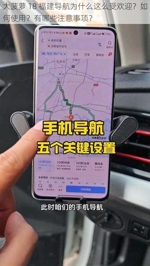 大菠萝 18 福建导航为什么这么受欢迎？如何使用？有哪些注意事项？