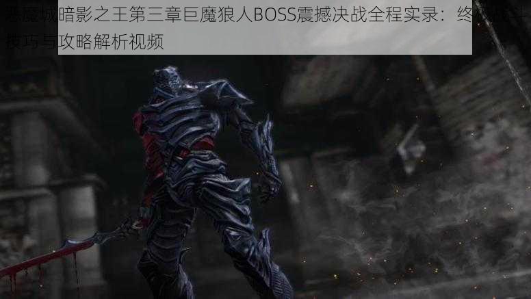 恶魔城暗影之王第三章巨魔狼人BOSS震撼决战全程实录：终极战斗技巧与攻略解析视频