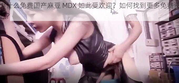 为什么免费国产麻豆 MDX 如此受欢迎？如何找到更多免费资源？