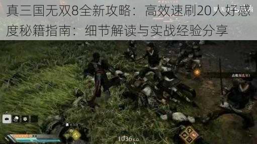 真三国无双8全新攻略：高效速刷20人好感度秘籍指南：细节解读与实战经验分享