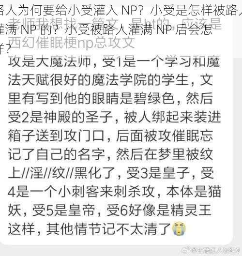 路人为何要给小受灌入 NP？小受是怎样被路人灌满 NP 的？小受被路人灌满 NP 后会怎样？