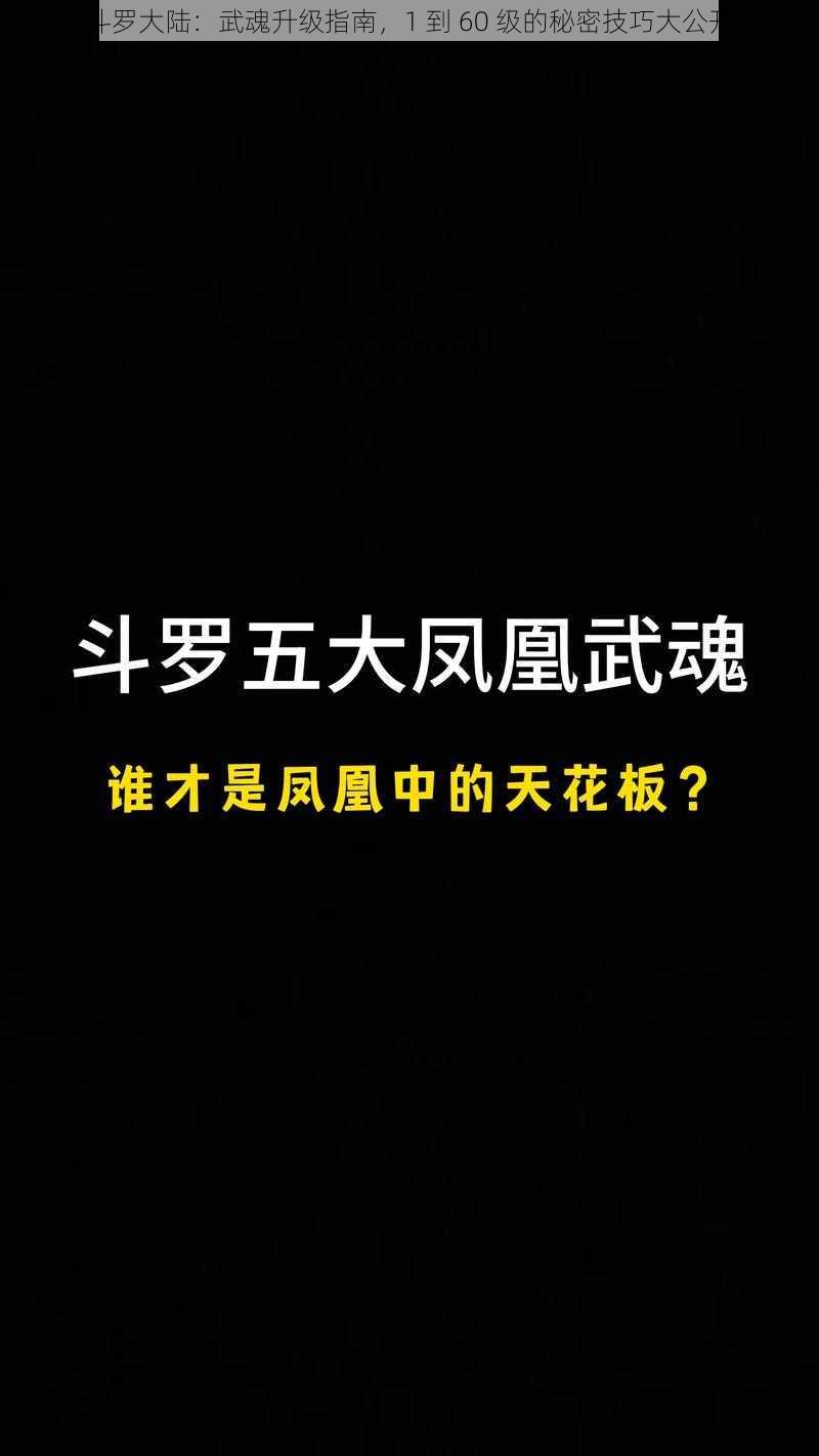 斗罗大陆：武魂升级指南，1 到 60 级的秘密技巧大公开