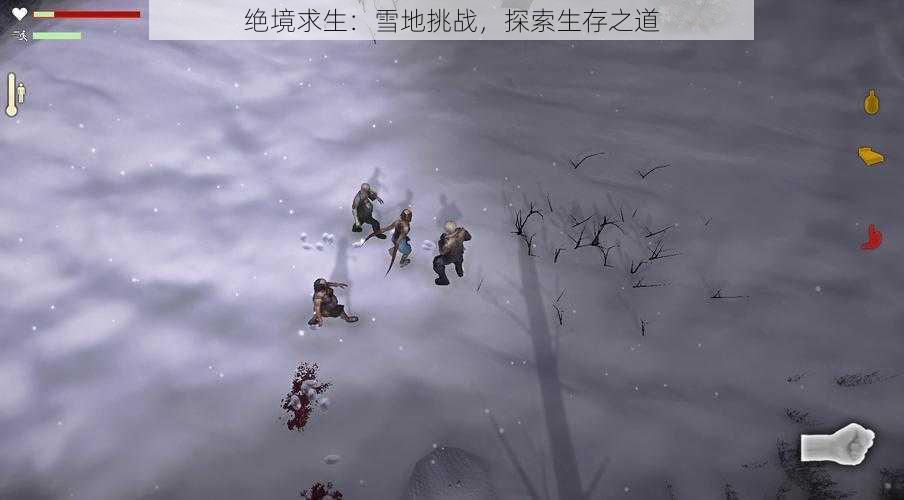 绝境求生：雪地挑战，探索生存之道