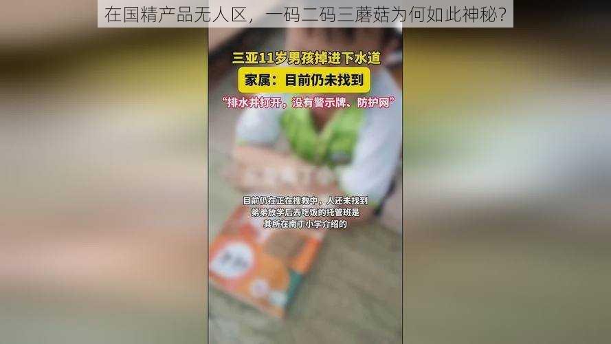 在国精产品无人区，一码二码三蘑菇为何如此神秘？