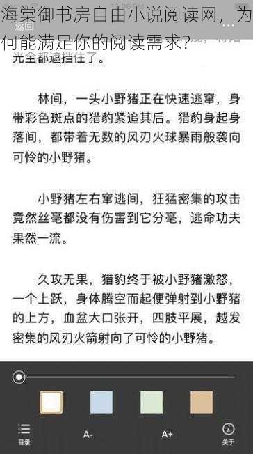 海棠御书房自由小说阅读网，为何能满足你的阅读需求？