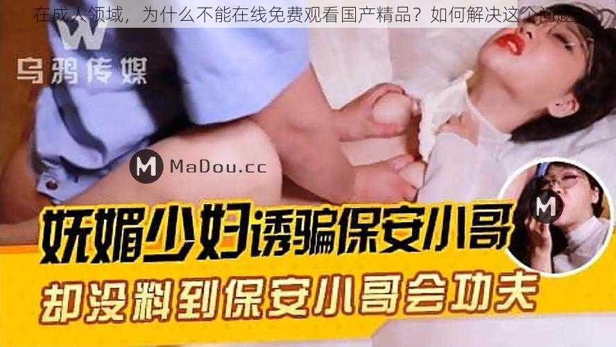 在成人领域，为什么不能在线免费观看国产精品？如何解决这个问题？