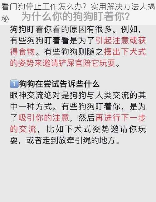 看门狗停止工作怎么办？实用解决方法大揭秘