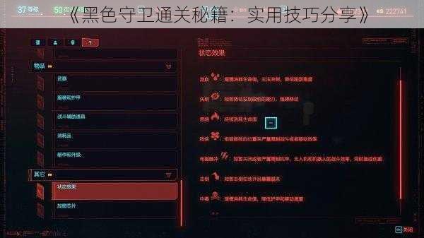 《黑色守卫通关秘籍：实用技巧分享》