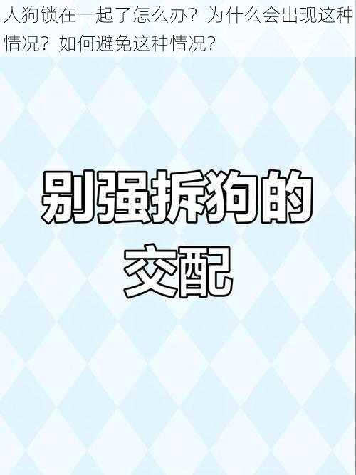 人狗锁在一起了怎么办？为什么会出现这种情况？如何避免这种情况？