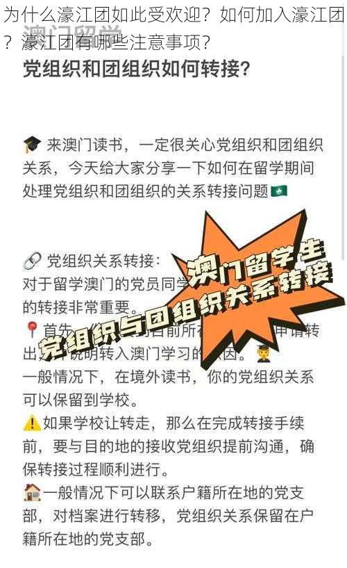 为什么濠江团如此受欢迎？如何加入濠江团？濠江团有哪些注意事项？