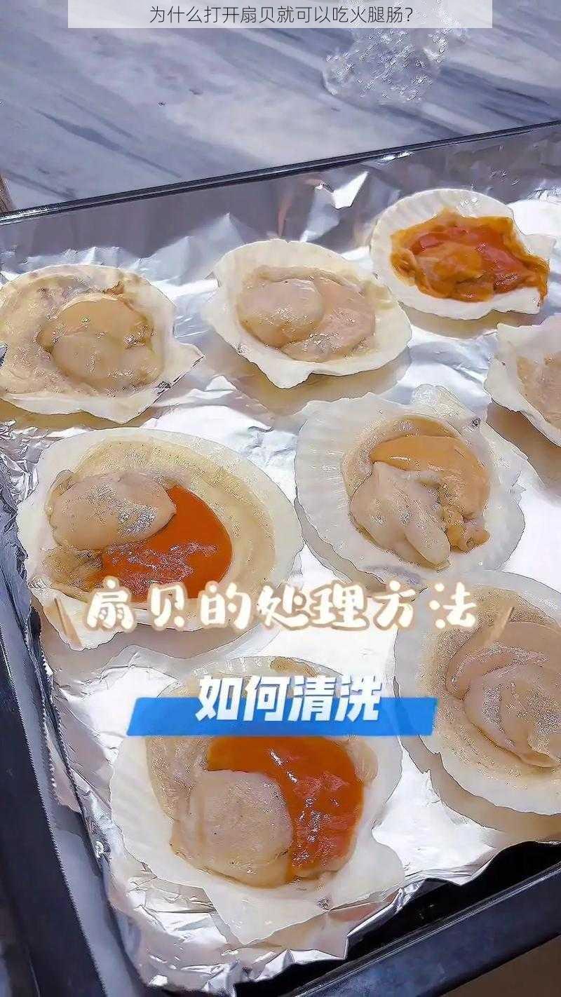 为什么打开扇贝就可以吃火腿肠？