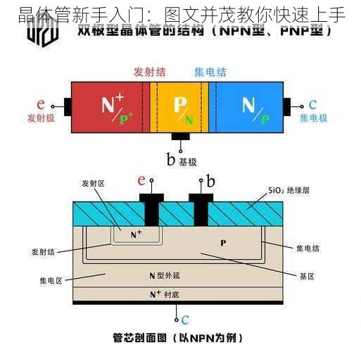 晶体管新手入门：图文并茂教你快速上手