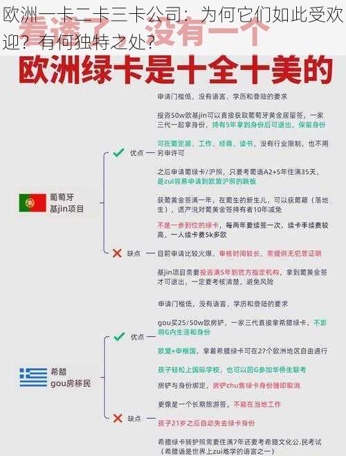 欧洲一卡二卡三卡公司：为何它们如此受欢迎？有何独特之处？