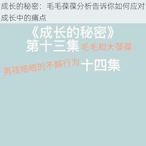 成长的秘密：毛毛葆葆分析告诉你如何应对成长中的痛点