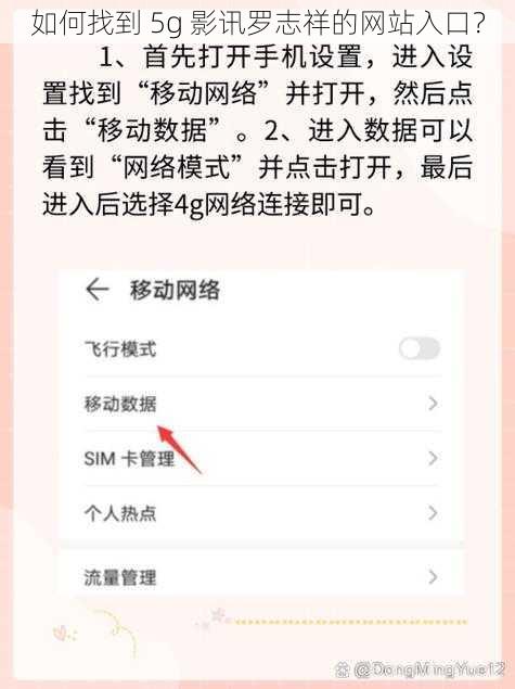 如何找到 5g 影讯罗志祥的网站入口？