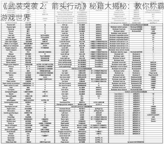 《武装突袭 2：箭头行动》秘籍大揭秘：教你称霸游戏世界