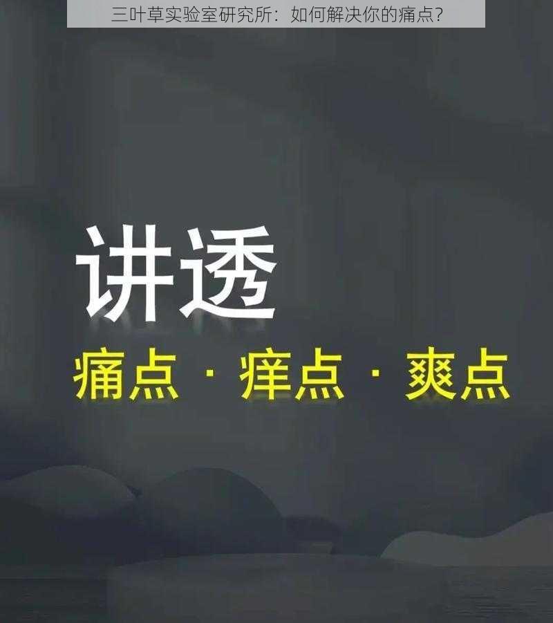 三叶草实验室研究所：如何解决你的痛点？