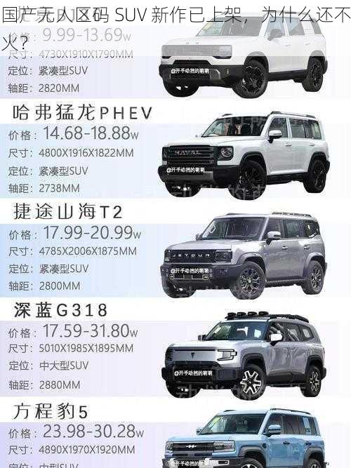 国产无人区码 SUV 新作已上架，为什么还不火？