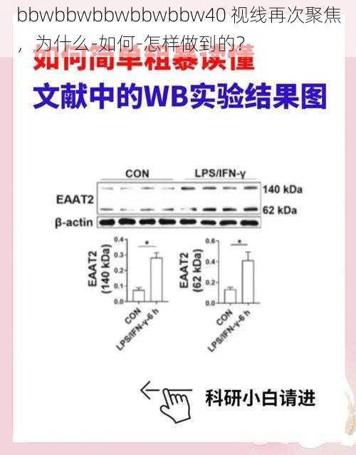 bbwbbwbbwbbwbbw40 视线再次聚焦，为什么-如何-怎样做到的？