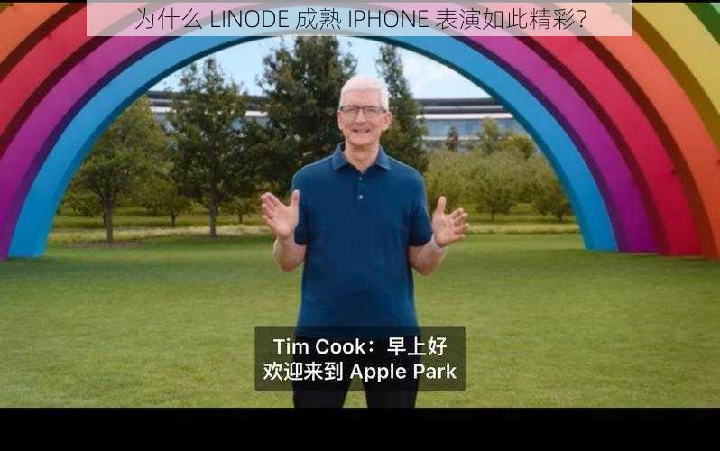 为什么 LINODE 成熟 IPHONE 表演如此精彩？