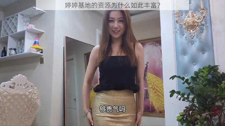 婷婷基地的资源为什么如此丰富？