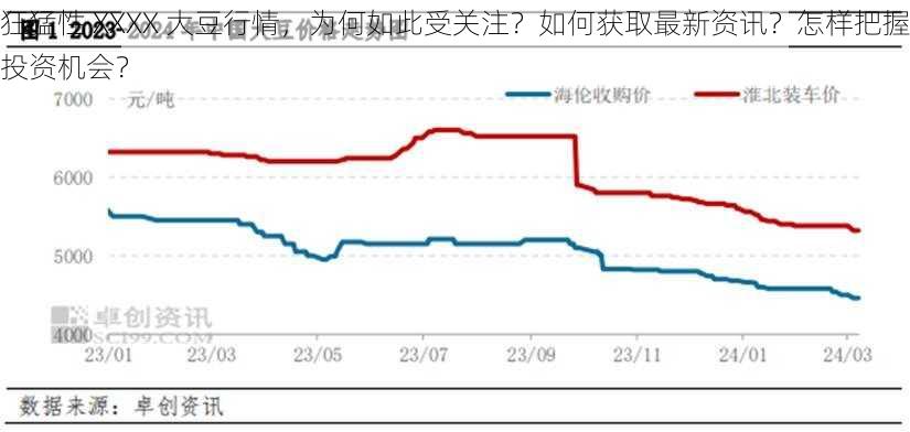 狂猛性 XXXX 大豆行情，为何如此受关注？如何获取最新资讯？怎样把握投资机会？