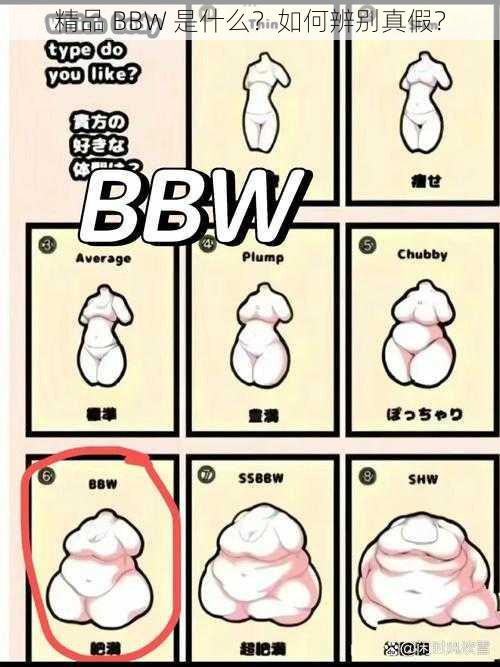 精品 BBW 是什么？如何辨别真假？