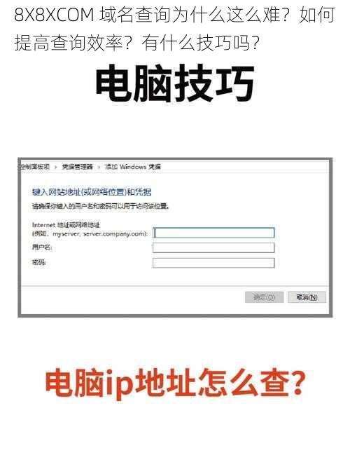 8X8XCOM 域名查询为什么这么难？如何提高查询效率？有什么技巧吗？
