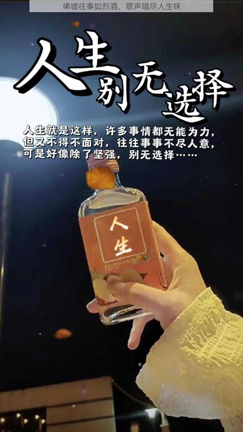 唏嘘往事如烈酒，歌声唱尽人生味