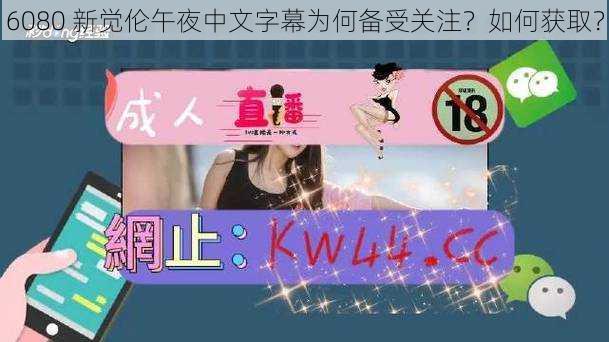 6080 新觉伦午夜中文字幕为何备受关注？如何获取？