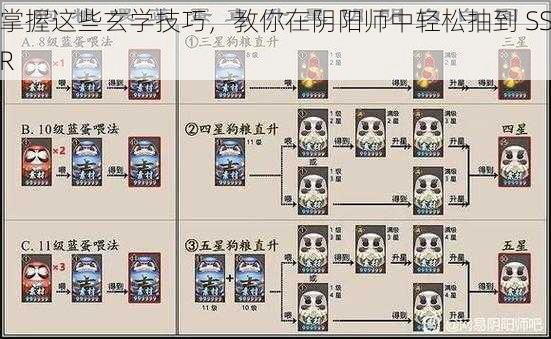 掌握这些玄学技巧，教你在阴阳师中轻松抽到 SSR