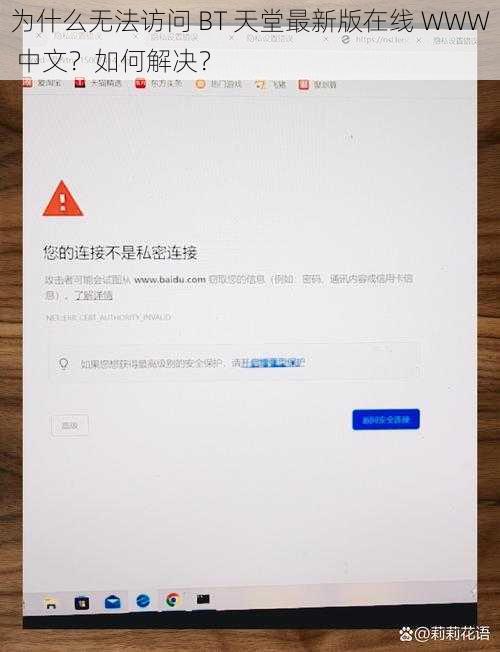 为什么无法访问 BT 天堂最新版在线 WWW 中文？如何解决？