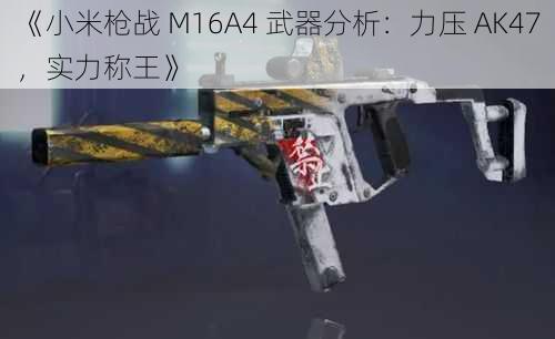 《小米枪战 M16A4 武器分析：力压 AK47，实力称王》