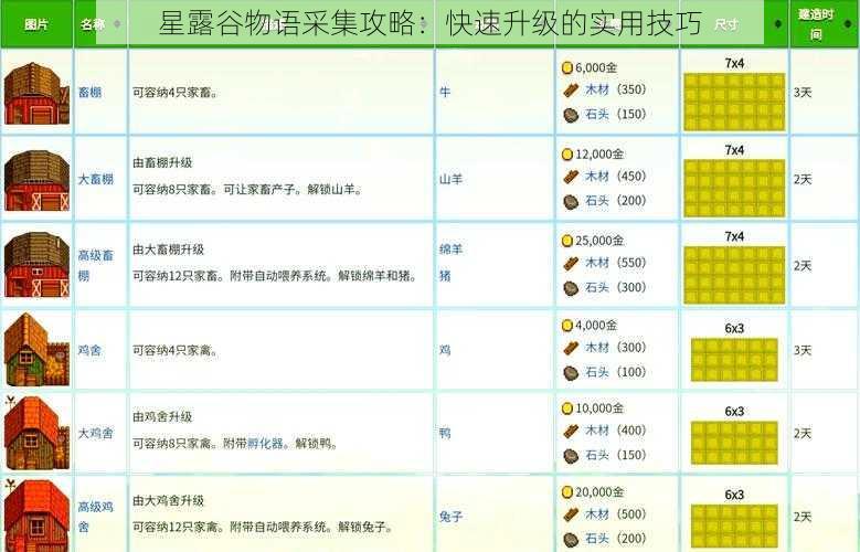 星露谷物语采集攻略：快速升级的实用技巧