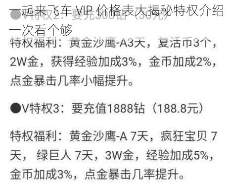 一起来飞车 VIP 价格表大揭秘特权介绍一次看个够