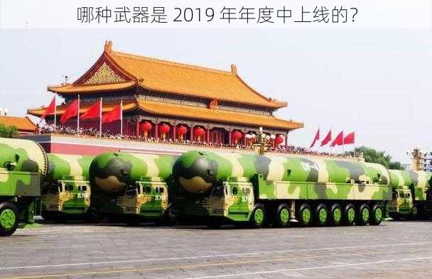 哪种武器是 2019 年年度中上线的？