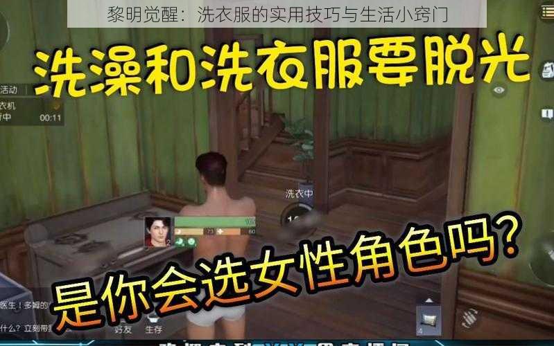 黎明觉醒：洗衣服的实用技巧与生活小窍门