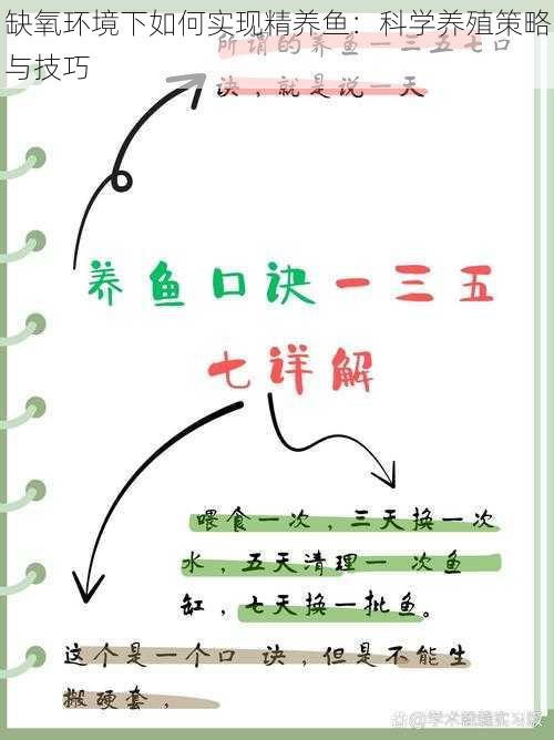 缺氧环境下如何实现精养鱼：科学养殖策略与技巧